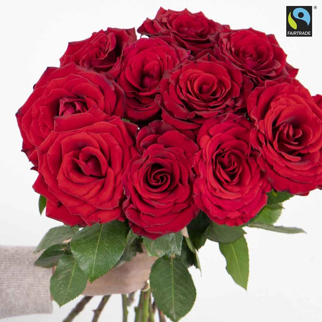 10 röda Fairtrade-rosor, du hittar dem hos blomsterförmedlingen Bringbloom!