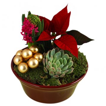 Julgrupp traditionell - välj själv färg på blommorna och stil på julgruppen. Ett alternativ hos Florister i Sverige