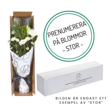 Prenumerera på blomsterbud via Florister i Sverige!