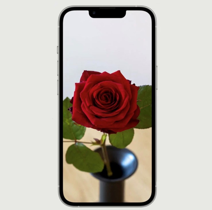 Skicka en sms-ros via Interflora! Mottagaren hämtar sin ros i en Interflora-ansluten butik.