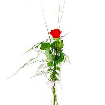 Solitär, röd ros tillsammans med dekorationsgrönt. Du hittar rosen hos Florister i Sverige.